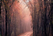 英超第1輪水晶宮0-2阿森納 馬丁內利建功薩卡造烏龍.