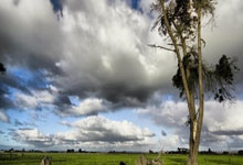 黑白体育：[亚冬会]林孝埈夺得短道速滑男子500米冠军.