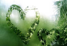 黑白体育：巴西世界杯大名單內馬爾領銜 9前鋒有7名首次參加世界杯.