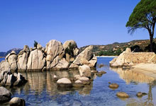 英超第1輪水晶宮0-2阿森納 馬丁內利建功薩卡造烏龍.